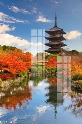 File ảnh File gốc in tranh tổng hợp Q8734 (gốc) in poster