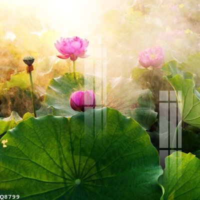 Tải file File gốc in tranh tổng hợp Q8799 (gốc) để in ấn ngay