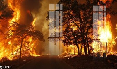 File gốc in tráng gương File gốc in tranh tổng hợp Q8830 chi tiết