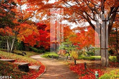 Download file File gốc in tranh tổng hợp Q8854 (chuẩn in) File gốc in tranh tổng hợp Q8854