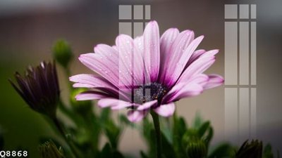 File gốc File gốc in tranh tổng hợp Q8868 (in ấn) màu sắc trung thực