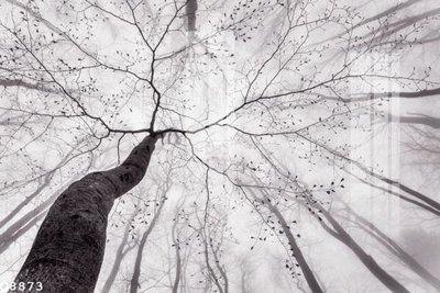 File ảnh File gốc in tranh tổng hợp Q8873 (gốc) in standee