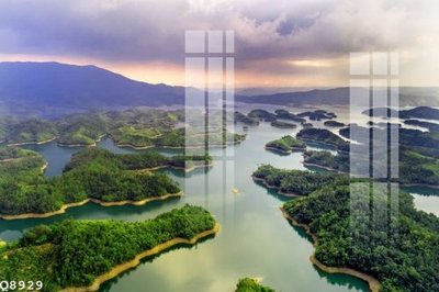 File in mica File gốc in tranh tổng hợp Q8929 (bản gốc) siêu trong