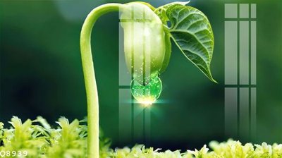 Download file tranh File gốc in tranh tổng hợp Q8939 (file gốc PSD)