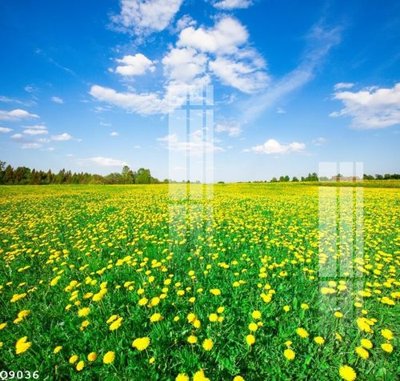 File gốc File gốc in tranh tổng hợp Q9036 (Filetranh.com) File gốc in tranh tổng hợp Q9036