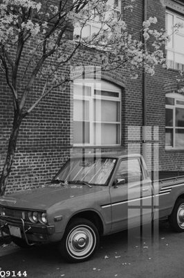 File gốc File gốc in tranh tổng hợp Q9144 (trang trí) phòng trẻ em