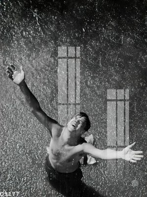 File in trần File gốc in tranh tổng hợp Q9177 (bản gốc) 5D