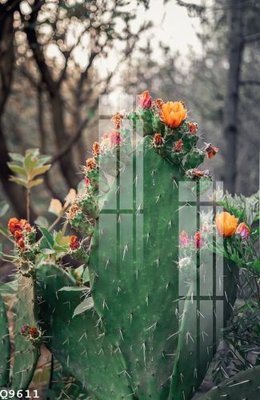 Ảnh mô tả file gốc in mica File gốc in tranh tổng hợp Q9611