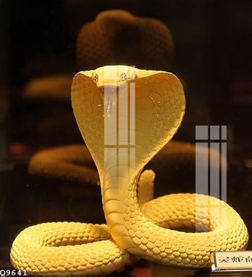 Tải file File gốc in tranh tổng hợp Q9641 (ảnh gốc) 300dpi File gốc in tranh tổng hợp Q9641