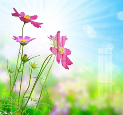 File in ấn File gốc in tranh tổng hợp Q9695 (bản gốc) từ file gốc