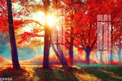 File gốc File gốc in tranh tổng hợp Q9803 (phong cách) cổ điển