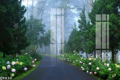 File tranh quảng cáo File gốc in tranh tổng hợp Q9830 (download file gốc)