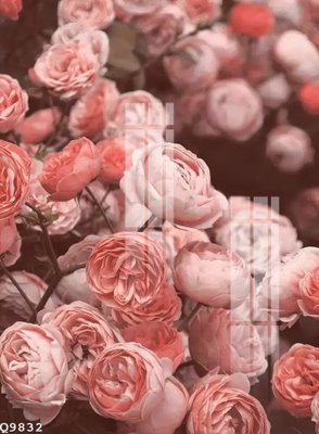 File gốc File gốc in tranh tổng hợp Q9832 (in mica) làm bảng hiệu