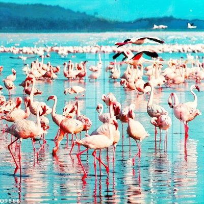 Download file File gốc in tranh tổng hợp Q9868 (gốc) in mica cao cấp