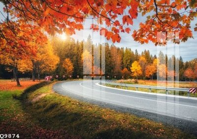 File tranh File gốc in tranh tổng hợp Q9874 (ảnh gốc) in trần nhà