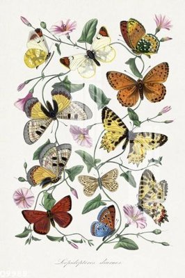 File ảnh File gốc in tranh tổng hợp Q9988 (gốc) dùng in Pano