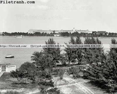 File gốc Royal Poinciana_ 1910 (PSD/TIFF) độ phân giải cao