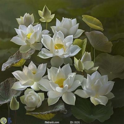 File in trần Tranh cửu ngư quần hội sen cá S131 (file gốc) phong thủy