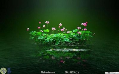 File in mica Tranh cửu ngư quần hội sen cá S133 (bản gốc) sắc sảo