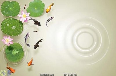 File gốc Tranh cửu ngư quần hội sen cá S137 (ảnh chi tiết) để in trần