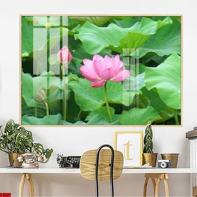 Ảnh gốc File tranh hoa sen S1851 (độ nét cao) in mica