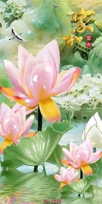 Tải file Tranh cửu ngư quần hội sen cá S198 (PSD) cho in ấn quảng cáo