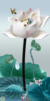 File gốc Tranh cửu ngư quần hội sen cá S212 (PNG) không nền chất lượng