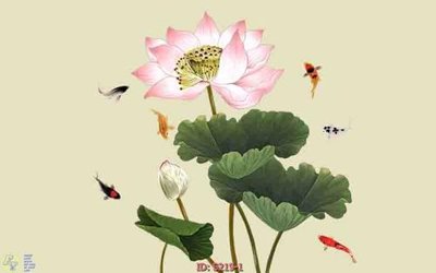 File tranh Tranh cửu ngư quần hội sen cá S219 (ảnh gốc) cho in ấn kỹ thuật số