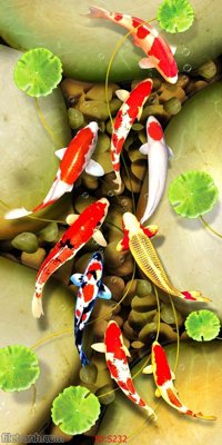 File gốc Tranh cửu ngư quần hội sen cá S232 (cho in ấn) độc quyền