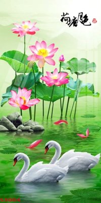 File gốc Tranh hoa sen cá cửu ngư quần hội S3004 (dành cho trang trí nội thất)