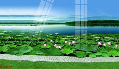 File in trần Tranh hoa sen cá cửu ngư quần hội S3087 (bản gốc) hoa văn