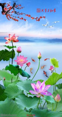 File in trần Tranh cửu ngư quần hội sen cá S309 (bản gốc) đại dương