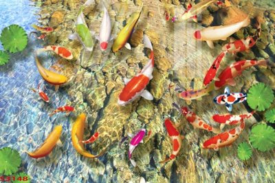 File in ấn Tranh hoa sen cá cửu ngư quần hội S3148 (bản gốc) sắc nét