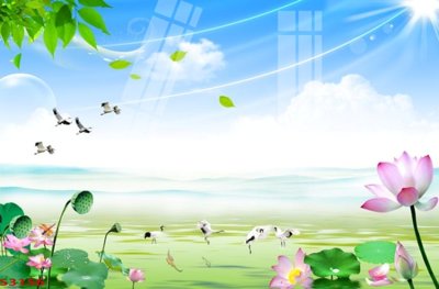 Tải về hình ảnh gốc Tranh hoa sen cá cửu ngư quần hội S3156 sắc nét