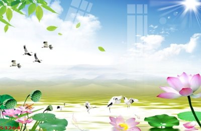 Ảnh gốc Tranh hoa sen cá cửu ngư quần hội S3264 (độ nét cao) in mica