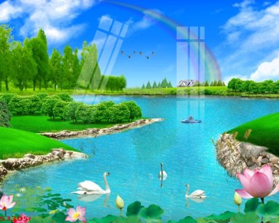 File in lụa Tranh hoa sen cá cửu ngư quần hội S3305 (phong cảnh) Tranh hoa sen cá cửu ngư quần hội S3305