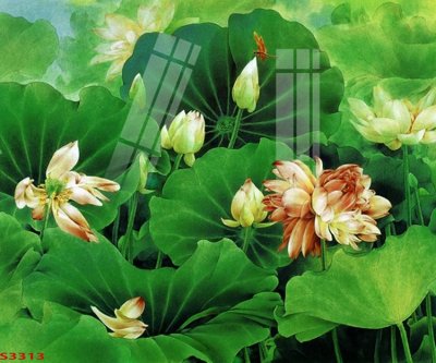 File in mica Tranh hoa sen cá cửu ngư quần hội S3313 (bản gốc) làm vách ngăn