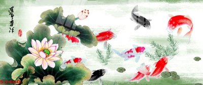 File tranh Tranh hoa sen cá cửu ngư quần hội S3460 (gốc) in film