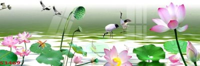 File tranh Tranh hoa sen cá cửu ngư quần hội S3469 (bản gốc) in canvas