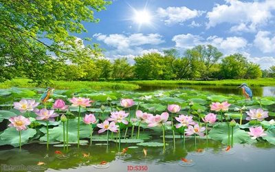 File gốc Tranh cửu ngư quần hội sen cá S350 (PSD/TIFF) độ phân giải cao