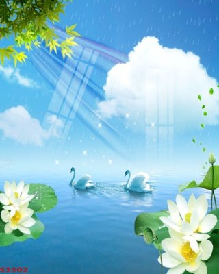 File gốc Tranh hoa sen cá cửu ngư quần hội S3502 (in tráng gương) sang trọng