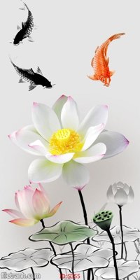 File ảnh Tranh cửu ngư quần hội sen cá S355 (gốc) in poster