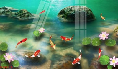 File tranh Tranh hoa sen cá cửu ngư quần hội S3611 (gốc) in trên kính