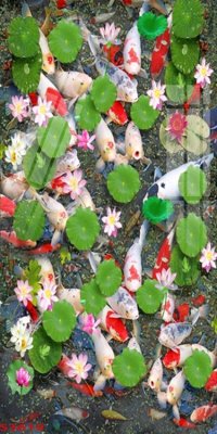 File tranh Tranh hoa sen cá cửu ngư quần hội S3619 (file gốc) chủ đề phong thủy