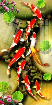 Download file gốc Tranh hoa sen cá cửu ngư quần hội S3639 (in mica) trong suốt