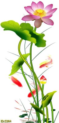 File in trần Tranh cửu ngư quần hội sen cá S364 (bản gốc) trời sao