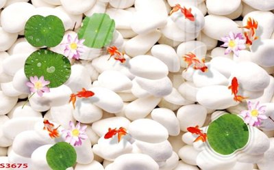 Download file Tranh hoa sen cá cửu ngư quần hội S3675 (chuẩn in) Tranh hoa sen cá cửu ngư quần hội S3675