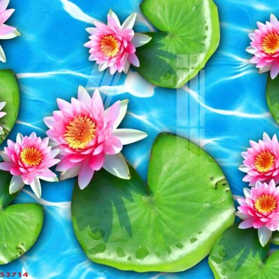 Tải file gốc Tranh hoa sen cá cửu ngư quần hội S3714 (bản PSD) còn layer