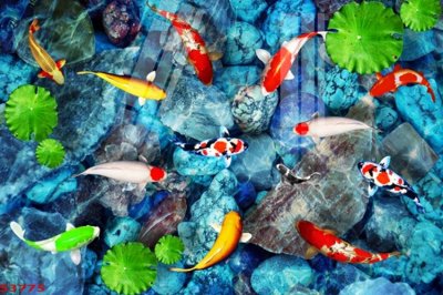 File gốc Tranh hoa sen cá cửu ngư quần hội S3775 (in lụa) chi tiết cao