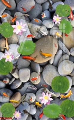 File tranh Tranh hoa sen cá cửu ngư quần hội S3800 (ảnh gốc) sắc nét hoàn hảo